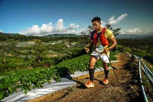 BIB: 9318
                            <button type="button" onclick="openModal(19125284)" class="btn btn-primary btn-sm float-right btn-popup" data-toggle="modal" data-target=".modal-high-quality">
                        <i class="fas fa-shopping-cart"></i> Add to Cart
                    </button>
                                            <button type="button" onclick="isThisMe(19125284, true)" class="btn btn-success btn-sm float-right btn-popup btn-isme hidden" data-toggle="tooltip" data-placement="bottom" title="นี่คือรูปของคุณใช่ไหม คลิกที่นี่เพื่อเอาเข้าอัลบั้ม">
                        <i class="fas fa-plus"></i> Add to album
                    </button>
                    <button type="button" onclick="isThisMe(19125284, false)" class="btn btn-warning btn-sm float-right btn-popup btn-isnotme hidden">
                        <i class="fas fa-ban"></i> Remove from album
                    </button>